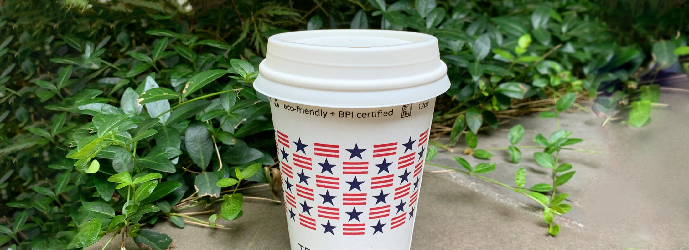 compostable single double wall cup with lid