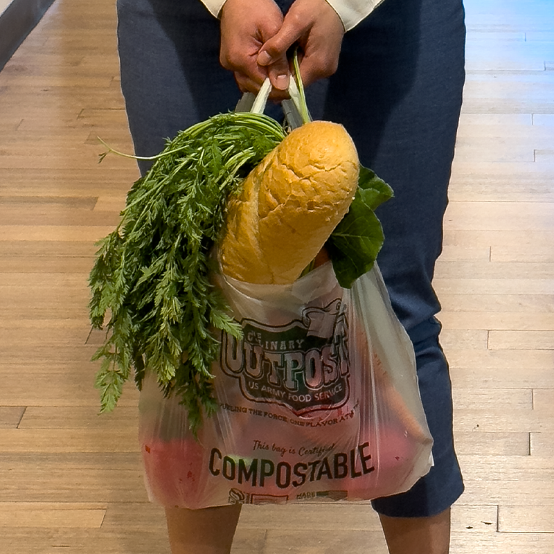 compostable shopping bag