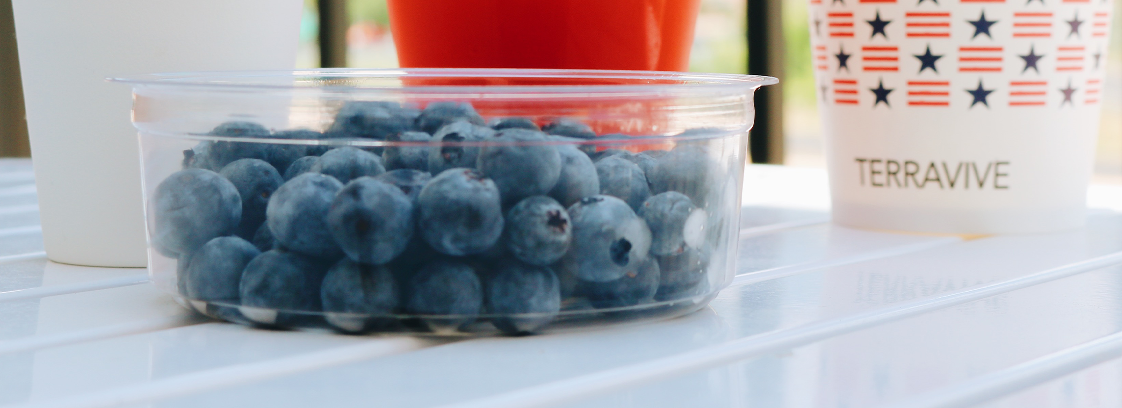 compostable round deli container