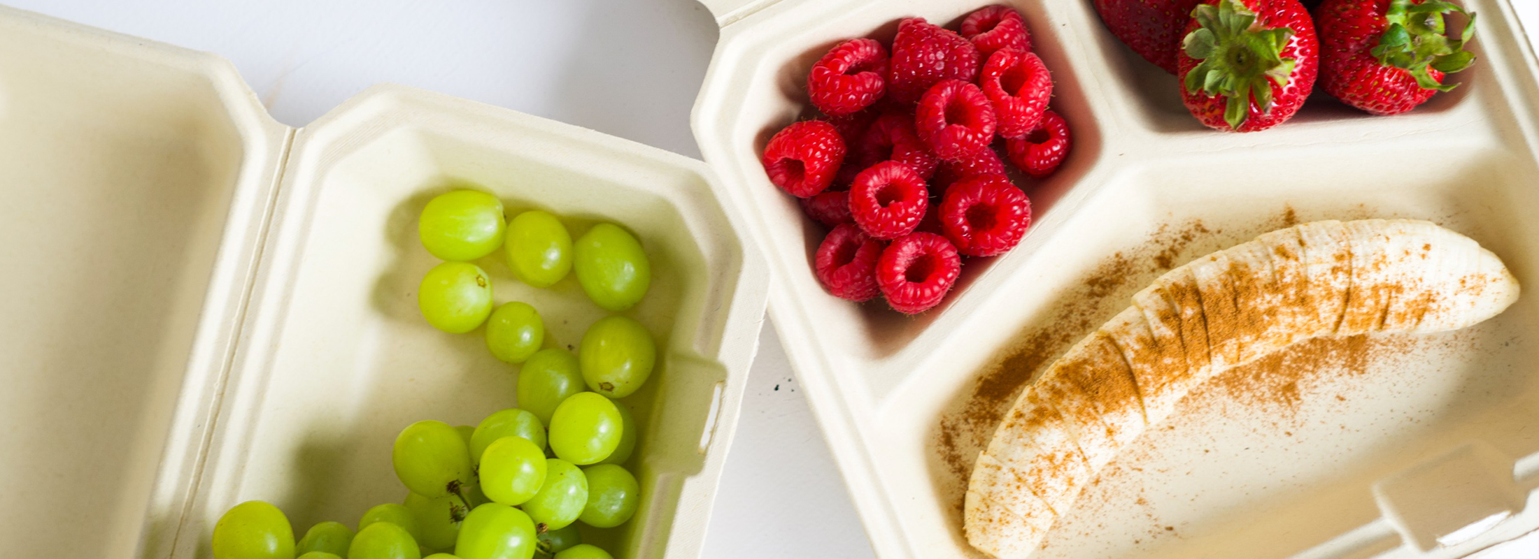 compostable food takeout containers